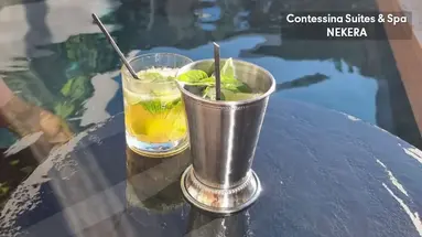 Contessina Suites and Spa