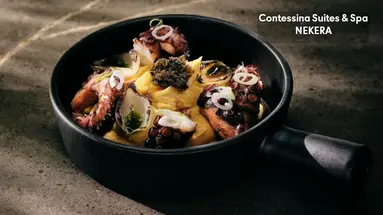 Contessina Suites and Spa