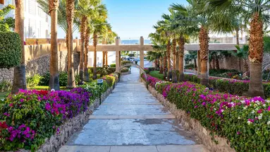 Continental Plaza Beach Resort