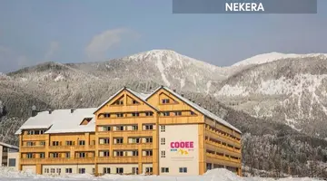 COOEE alpin Hotel Dachstein