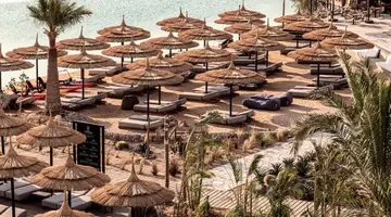 Cook s Club El Gouna (Adults Only +16)