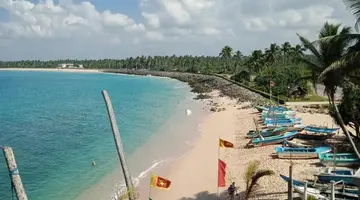 Cool Beach