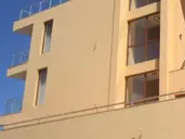 Coop