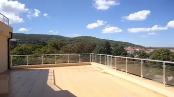 Coop