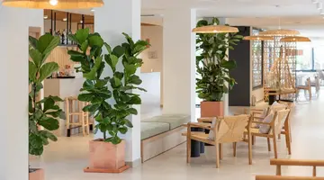 Copaiba by Honne Hotels (ex HSM Venus Playa)