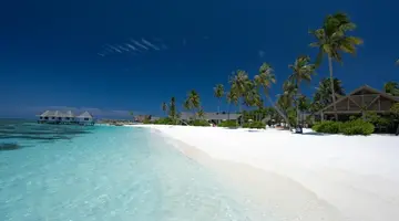 Cora Cora Maldives 5