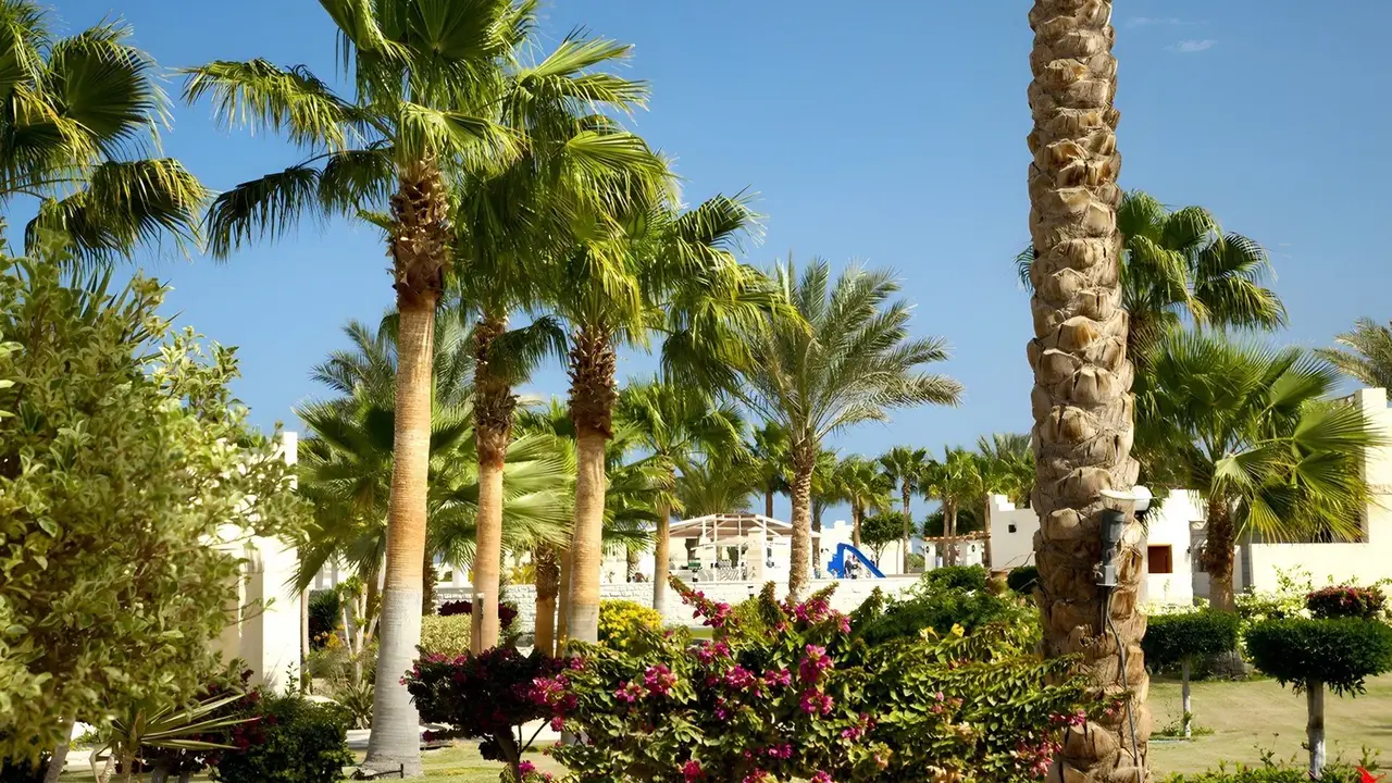 Coral Beach Hurghada Resort
