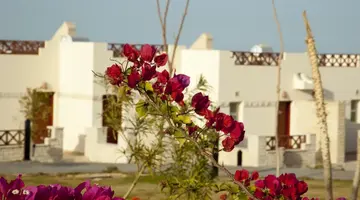Coral Beach Hurghada