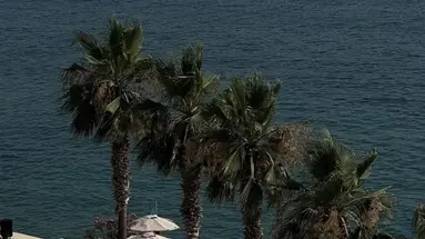 Coral Boutique Hotel