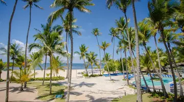 CORAL COSTA CARIBE