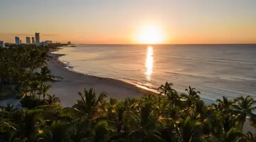 CORAL COSTA CARIBE