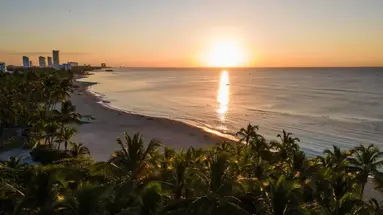 CORAL COSTA CARIBE