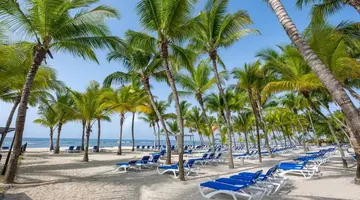 CORAL COSTA CARIBE