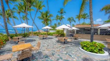 CORAL COSTA CARIBE