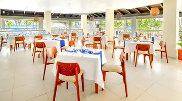 CORAL COSTA CARIBE