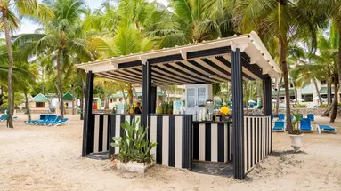 CORAL COSTA CARIBE