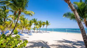 CORAL COSTA CARIBE