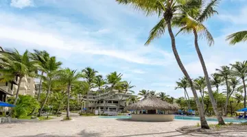 CORAL COSTA CARIBE