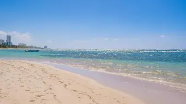 CORAL COSTA CARIBE