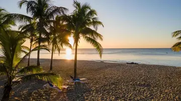 CORAL COSTA CARIBE