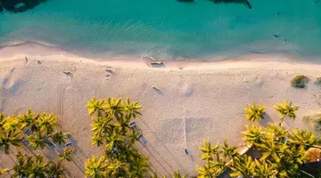 CORAL COSTA CARIBE