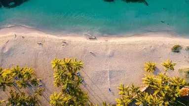CORAL COSTA CARIBE