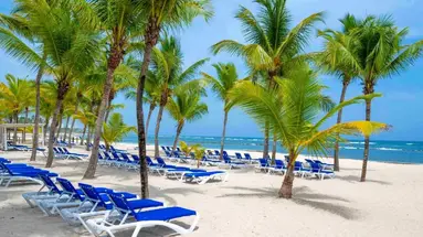 CORAL COSTA CARIBE