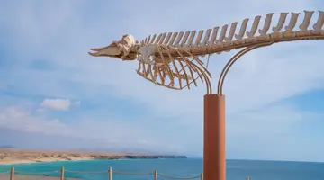 Coral Cotillo Beach