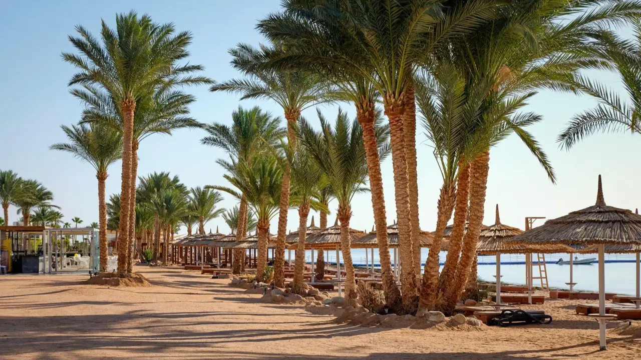 Coral Sea Imperial - Sensatori Resort