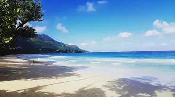 Coral Strand
