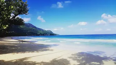 Coral Strand