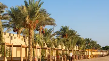 CORAL SUN BEACH SAFAGA
