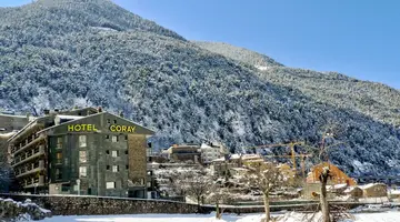 Coray