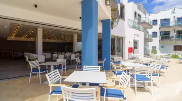 Cordial Marina Blanca