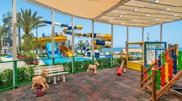 Corendon Playa Kemer