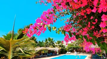 Corfu Hotel