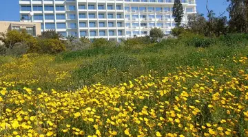 Corfu Hotel