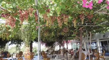 Corfu Hotel