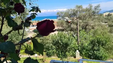 Corfu Panorama