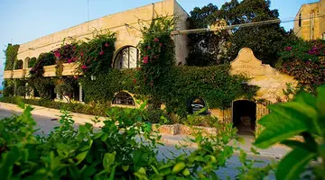 Cornucopia Hotel