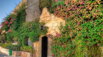 Cornucopia Hotel
