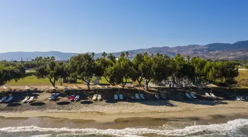 Costa Angela