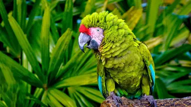 Costa Rica Completa