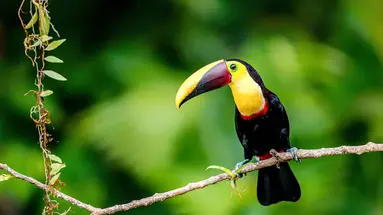 Costa Rica Completa