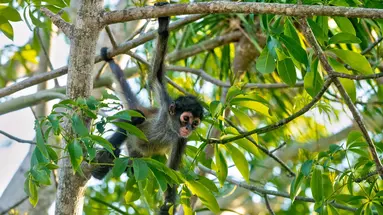 Costa Rica Completa