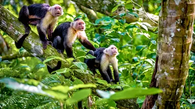 Costa Rica Completa