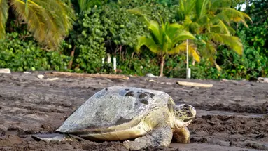Costa Rica Completa