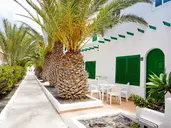 Cotillo Lagos