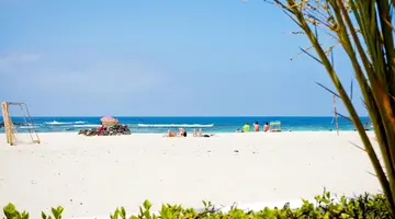 Cotillo Lagos