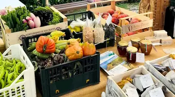 Country Resort Le Due Ruote